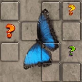 Butterfly Memory Match