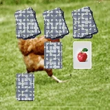 Chicken Memory Match