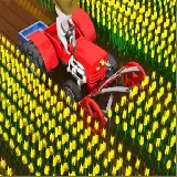 Cut the Grass   Cutting Grass