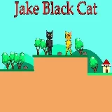 Jake Black Cat
