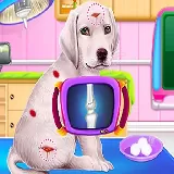 Labrador Puppy Daycare Salon