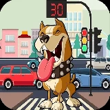 Pit Bull Avoid Traffic