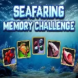 Seafaring Memory  Challenge