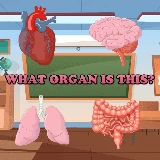 What Organ Is This?
