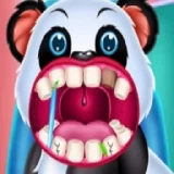 Wild Animal Hospital Veterinarian